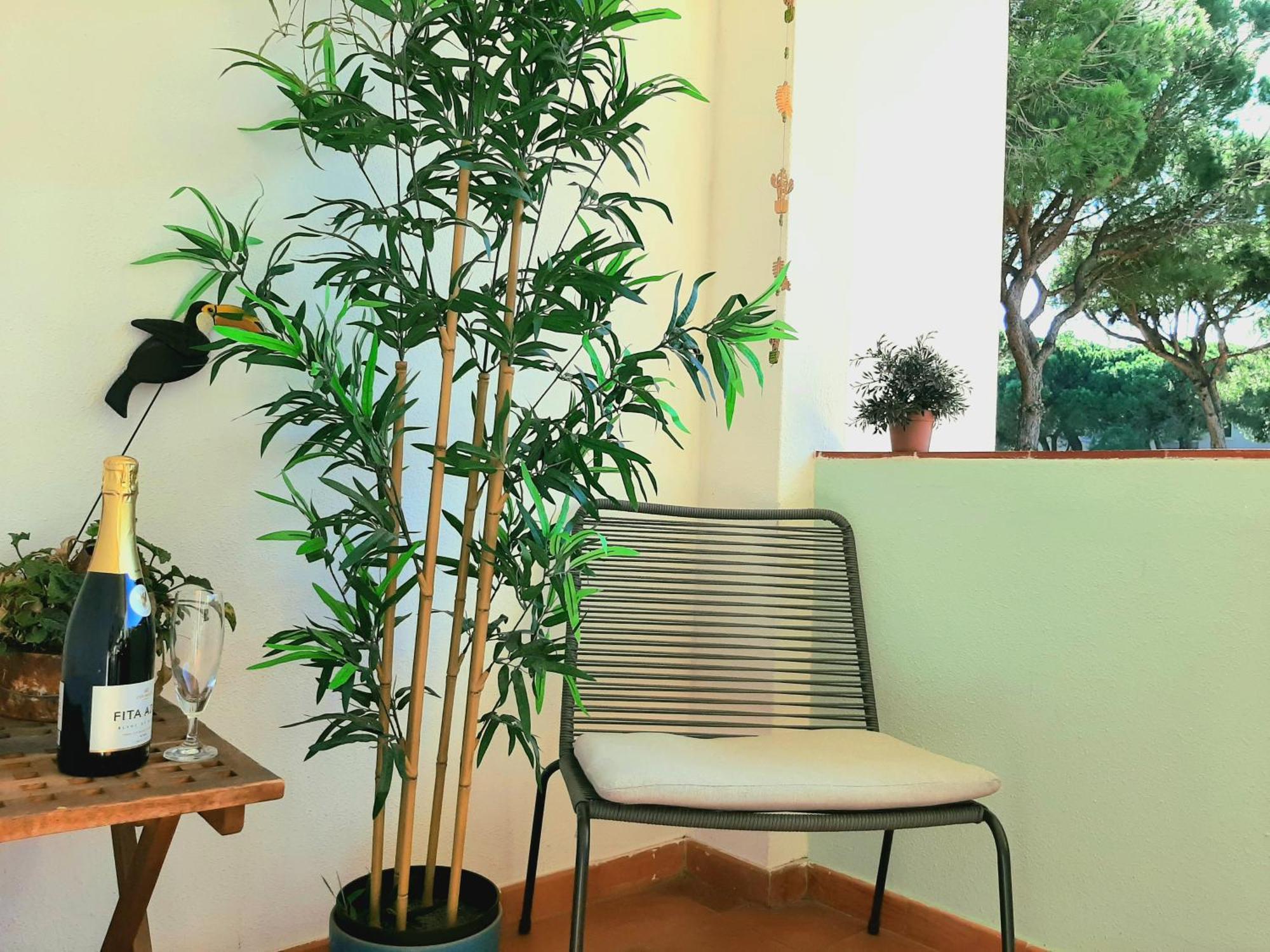 Apartment Amalia Albufeira Zewnętrze zdjęcie